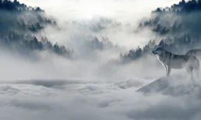 С 5 января начнется выдача разрешений на отстрел волков и шакалов в Казахстане