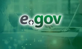 Сотовые номера в Казахстане могут начать распределять через eGov