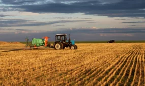 Национальная сельскохозяйственная перепись стартует в Казахстане с 1 августа