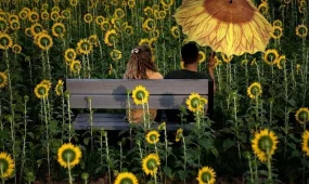 От +5 до +40: каким будет август в Казахстане