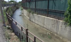 Зеленая вода в реке Каргалы в Алматы озадачила экологов