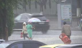 Казахстан уже испытывает последствия изменения климата, - Ш. Тастемирова