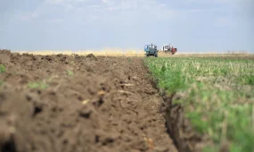 Ақмола облысында құны 332,5 млн теңге болатын жер мемлекет меншігіне қайтарылды