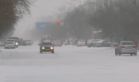 Десять человек вызволили из снежных заторов спасатели в СКО