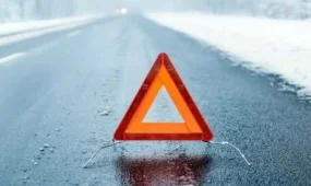 Алматыда жол апатынан үндістандық студенттер қаза тапты