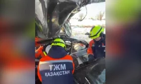 Солтүстік Қазақстан облысында жантүршігерлік жол апатынан 4 адам көз жұмды