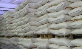 Қостанайда жұмысшы бір тонна ұнның астында қалған