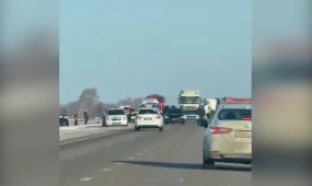 Четыре человека погибли в страшном ДТП на трассе в СКО