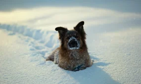 Снегопады и потепление: погода на выходных в Казахстане