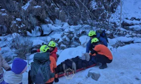 Туристка из Катара пострадала в горах Алматы