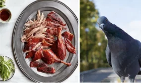 Китайский ресторан подавал голубей под видом уток в Мадриде