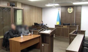 Халықтан 1,5 млрд теңге жинаған ерлі-зайыпты сотталды