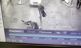 Алматыда 15-тегі жасөспірім мен оның ағасын ұрып, ақшасын тартып алған