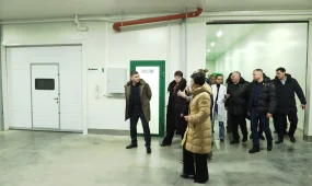 Свыше двух тысяч тонн грибов в год будут производить на ферме в СКО