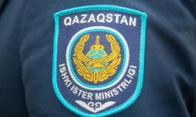 Риддерде полицияға бірнеше рет қоңырау шалып балағаттаған ер адам сотталды