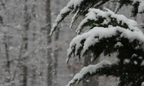 Бүгін бірнеше өңірде дауыл соғады