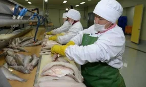60 мың тоннаға жуық дайын балық өнімі өндірілді