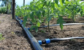 Тұтынушылардың құқығын бұзған суару суын жеткізушілерге 17,8 млн теңге айыппұл салынды