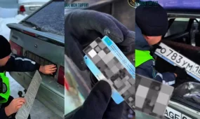 Республикалық автожолдарда жалған мемлекеттік нөмірлер бойынша 900-ге жуық құқық бұзушылық анықталды