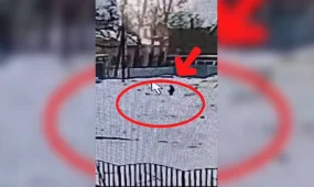 Абай облысында учаскелік полицей камераның көмегімен жоғалған баланы іздеп тапты