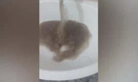 Алматы қаласындағы Зерделі ықшам ауданында тұрғындар судың сапасына шағымданды