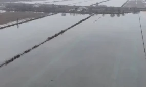 Почвенная терапия: в Туркестанской области оздоравливают орошаемые земли