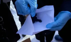 91 бұрынғы «закладчик» профилактикалық жұмыстарға тартылды – ІІМ