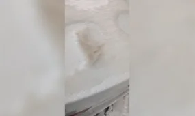 В «желтом» снеге Усть-Каменогорска вредных веществ не обнаружено