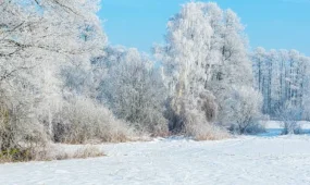 Астанада қақаған аяз, Алматыда қарлы боран күтіледі