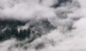 Переохлажденный туман парализовал вылеты Airbus из Алматы