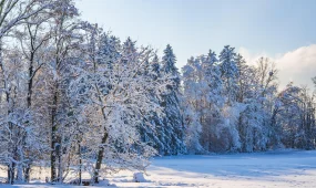 Рекордные морозы и метель накроют Казахстан