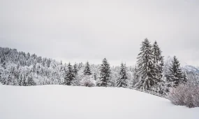 Морозы и туман: прогноз погоды на 15 января 2026 года в Казахстане