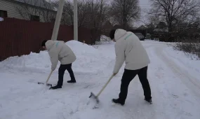 Еріктілер қарияларға көмектесті