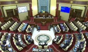 Ограничения на алкоголь и контроль за «умными» устройствами обсудили в Мажилисе