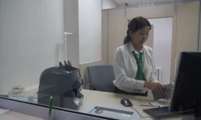 "Льготные кредиты выросли в 10 раз, а эффекта нет"- депутат Сената о проблемах АПК