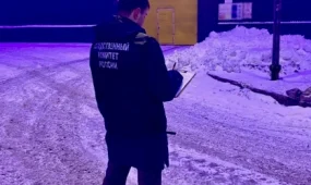 Двое казахстанцев погибли на предприятии "Северстали" в России