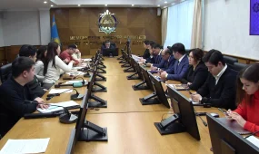 Около 2 млн. индивидуальных предпринимателей рискуют остаться на общем налоговом режиме - КГД