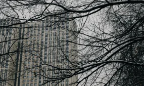 Школьница чудом выжила после падения с 25-го этажа