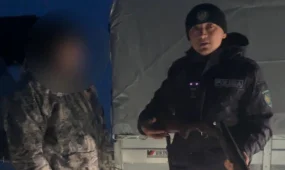 Охота на волка: полиция оштрафовала жителя Алматинской области