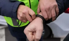 Қаржы пирамидасын басқарғаны үшін іздеуде жүрген адам Грузиядан экстрадицияланды