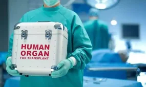 Ресей азаматы Қазақстанда бүйрегін 50 мың АҚШ долларына сатпақ болған