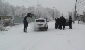 Труп оставил возле спящей дочери: в алматинской области расследуют дело об убийстве женщины сожителем