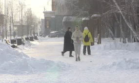 Штрафы за кормление животных: в СЦК опровергли фейки из соцсетей