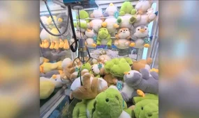 Игрушка на удачу: почему "автоматы-хватайки“ притягивают людей?