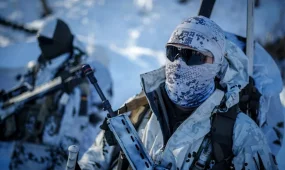 Военные Германии прибыли в Гренландию для подготовки арктической миссии