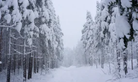 Прогноз погоды на 18 января 2026 года в Казахстане