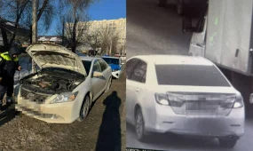 Оралда жалған мемлекеттік нөмірмен жүрген көлік жүргізушісі анықталды