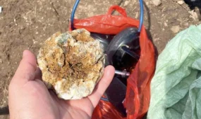 Золото незаконно добывали в области Абай