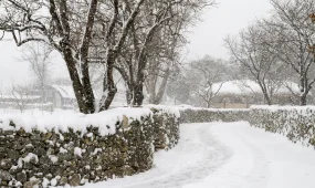 БҚО-да көктайғақтан жарақат алғандар саны 860-тан асты