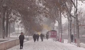Шымкенттік әйел балаларының денесіне үтік басып, пешке күйдірген